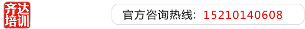 www.肏齐达艺考文化课-艺术生文化课,艺术类文化课,艺考生文化课logo